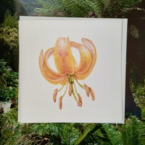 Card - Single Martagon Lily