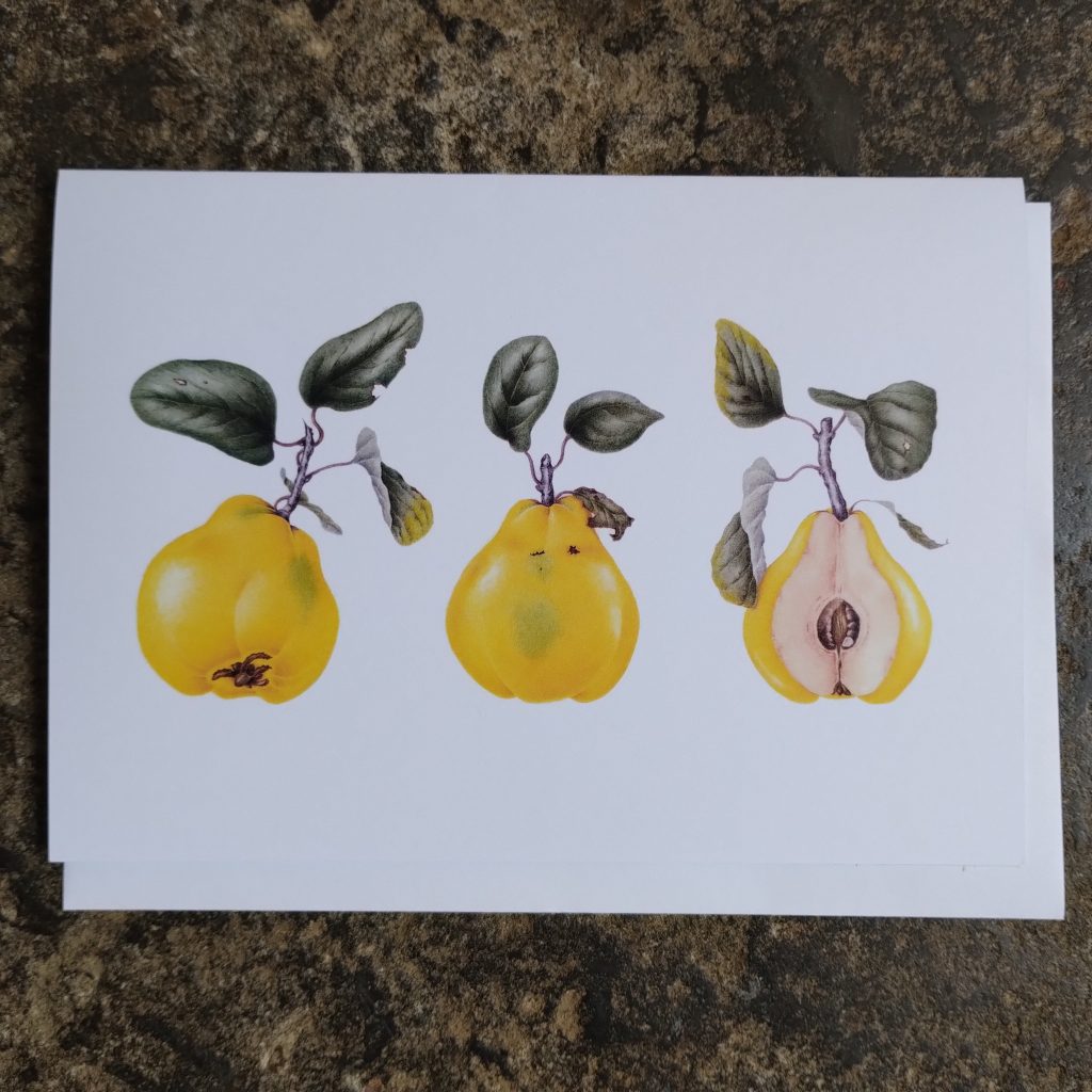 Card - Quince 'Meeches Prolific'