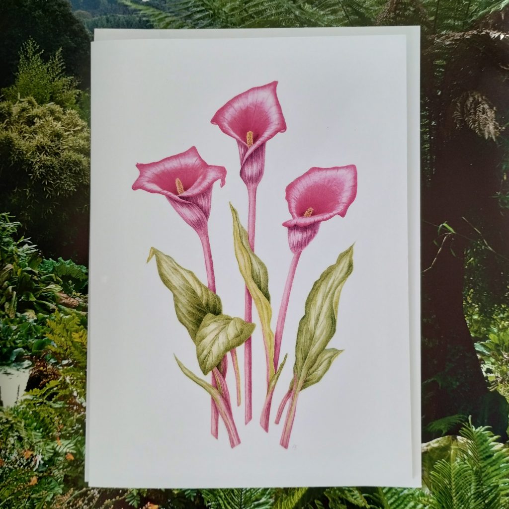 Card - Calla Lily