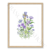 The Blue Bunch - Print