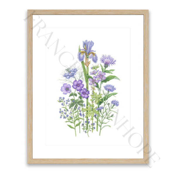 The Blue Bunch - Print